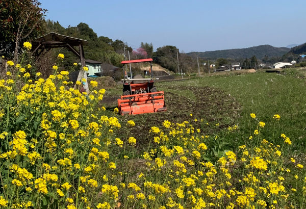 【March】Rice paddy plowing